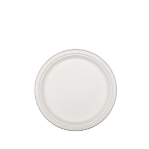 Round Plate Large Compostable Sugarcane Bagasse Ø 260 mm | 400 - 500 Units/Box