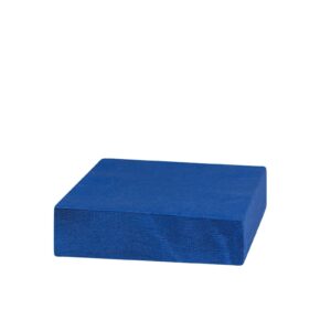 Blue Napkin 33x33cm Double Point  | 1000 units/box
