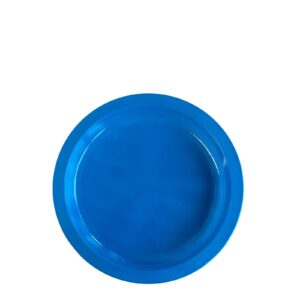 Plates Recyclable and Reusable PS Blue 220mm | 300 Units/Box