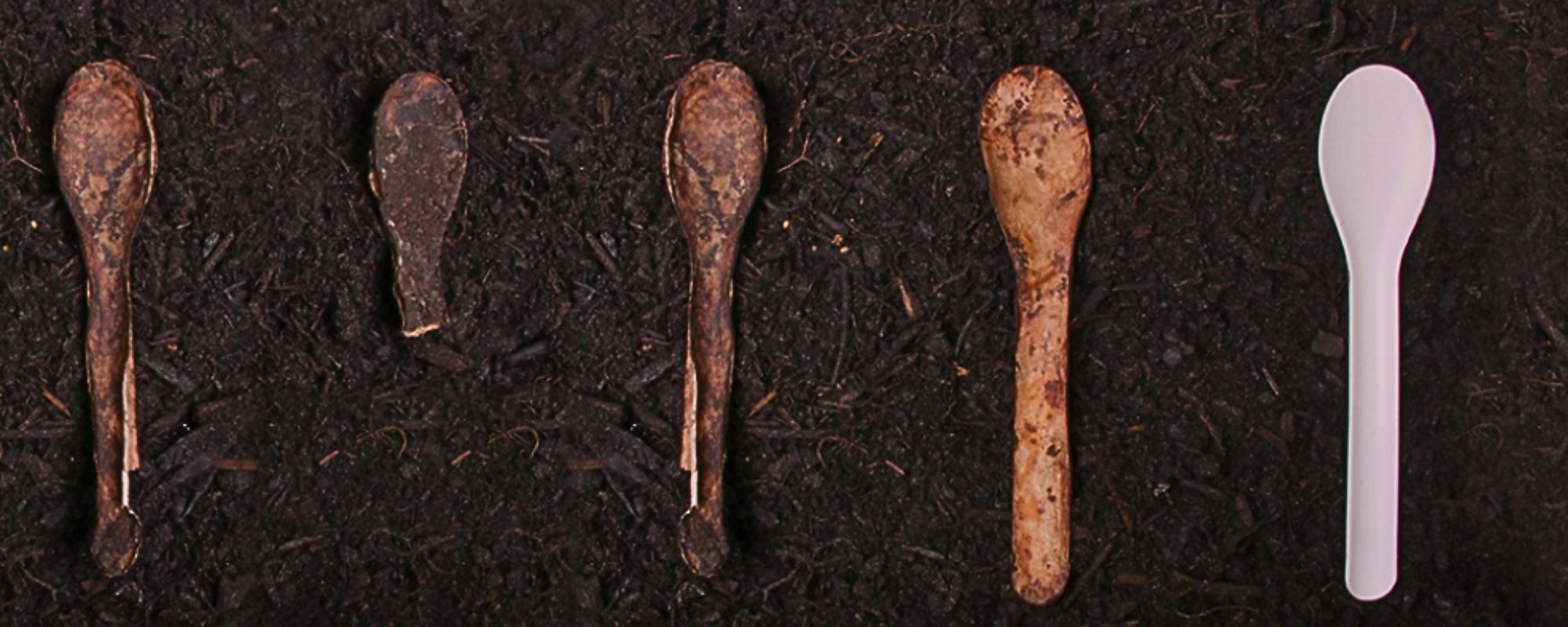 composrt spoon